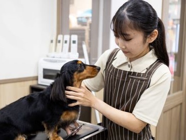 内山　美咲